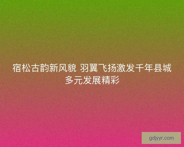 宿松古韵新风貌 羽翼飞扬激发千年县城多元发展精彩
