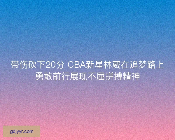 带伤砍下20分 CBA新星林葳在追梦路上勇敢前行展现不屈拼搏精神 带伤砍下20分 CBA新星林葳在追梦路上勇敢前行展现不屈拼搏精神